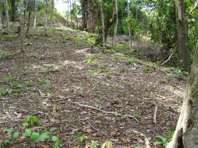 0 bed Land For Sale in Dominical, Puntarenas - thumb 5