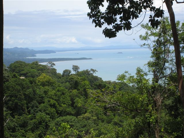 0 bed Land For Sale in Dominical, Puntarenas - thumb 6