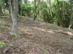 0 bed Land For Sale in Dominical, Puntarenas - thumb 7