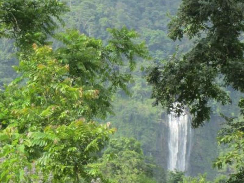 0 bed Land For Sale in Dominical, Puntarenas - 1