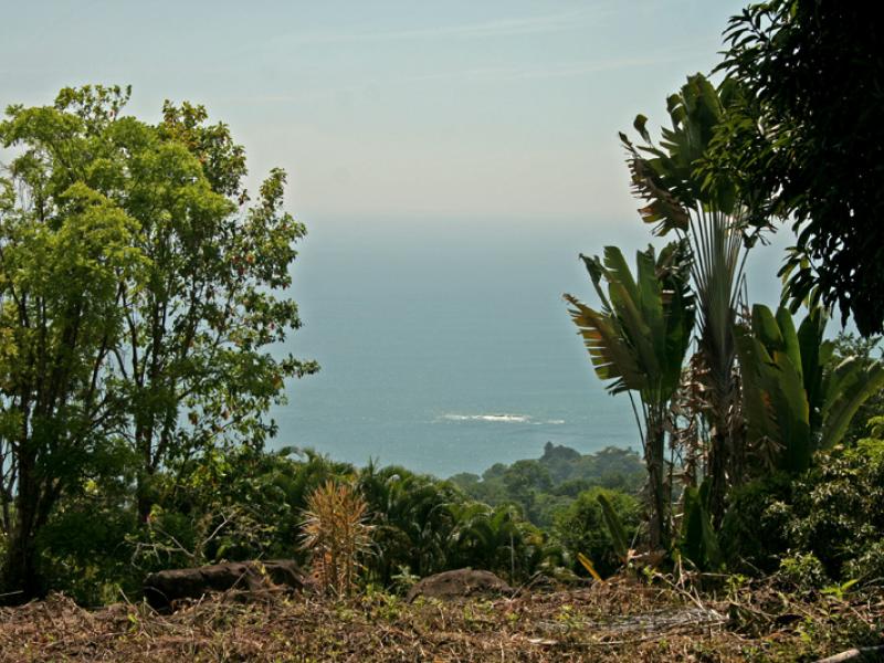 0 bed Land For Sale in Dominical, Puntarenas - 1