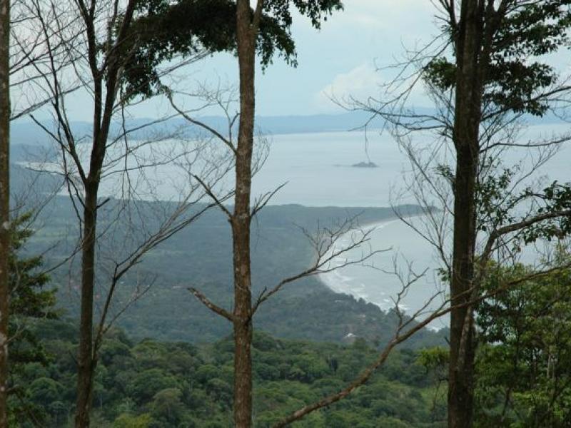 0 bed Land For Sale in Dominical, Puntarenas - 1