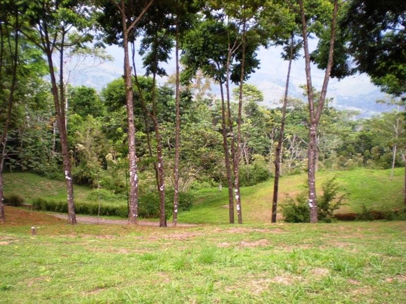 0 bed Land For Sale in Dominical, Puntarenas - 1