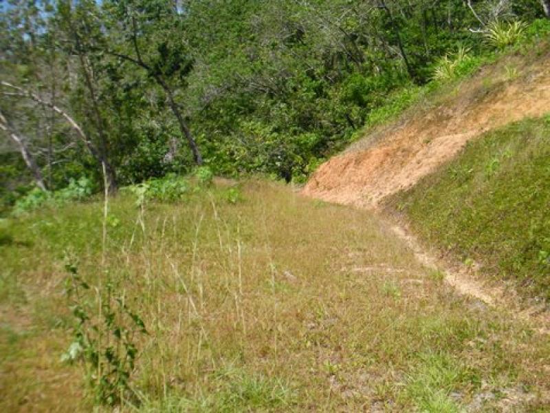 0 bed Land For Sale in Uvita, Puntarenas - 1
