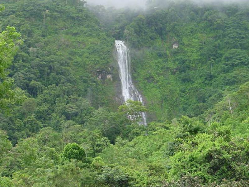 0 bed Land For Sale in Dominical, Puntarenas - 1
