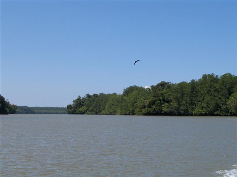 0 bed Land For Sale in Golfito, Puntarenas - 1