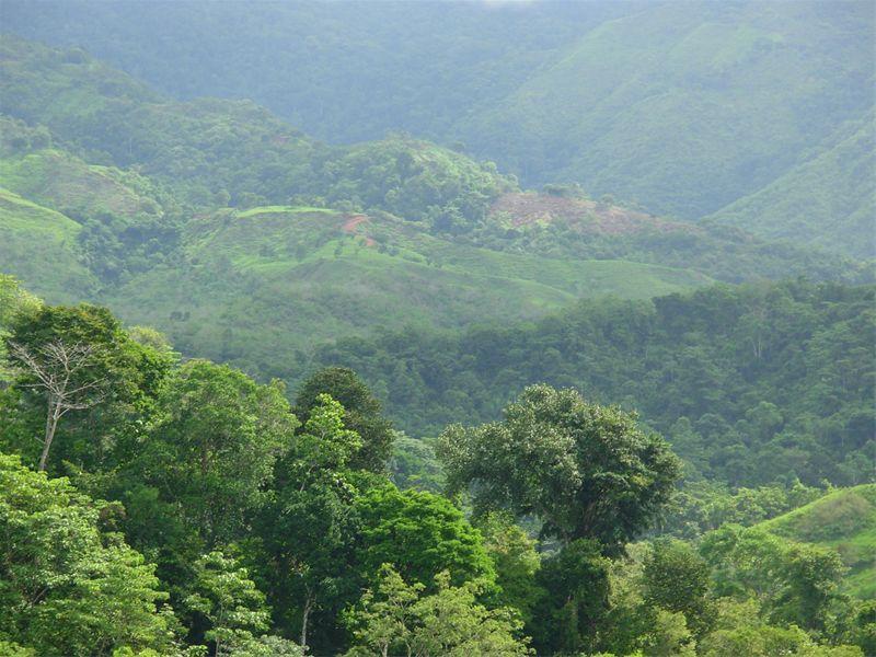 0 bed Land For Sale in Ciudad Cortes, Puntarenas - 1