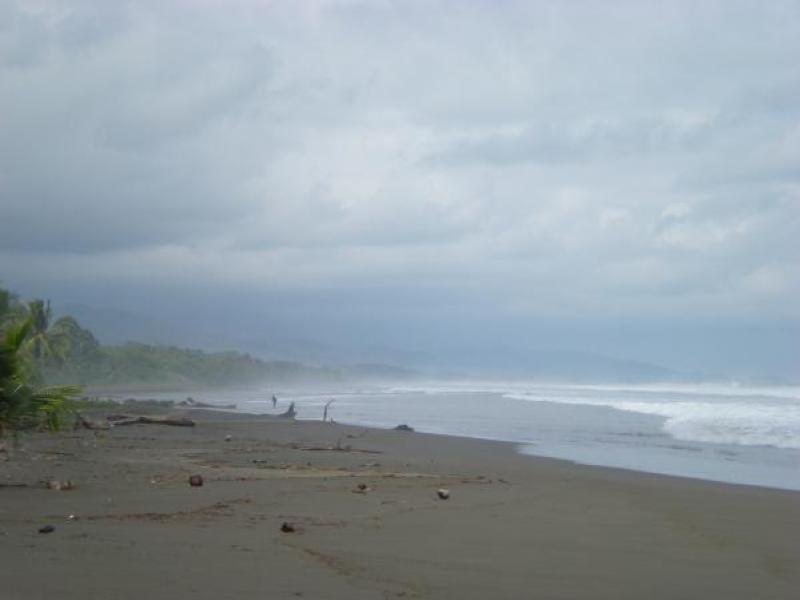 2 bed Single Family Homes For Sale in Dominical, Puntarenas - 1