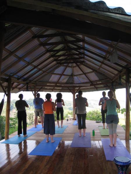 10 bed Commercial For Sale in Dominical, Puntarenas - thumb 9