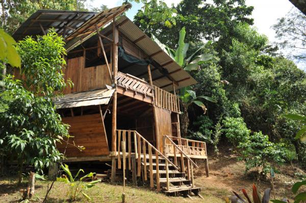 10 bed Commercial For Sale in Dominical, Puntarenas - thumb 10