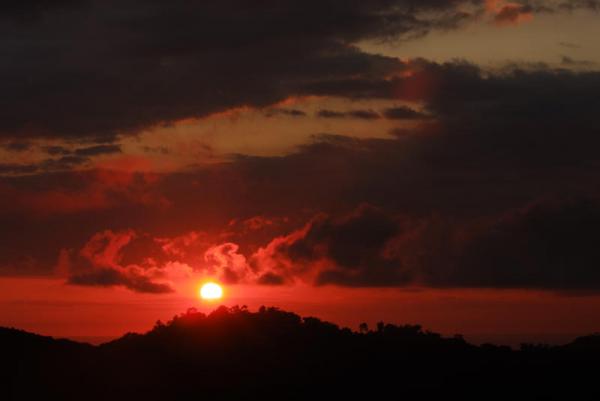 10 bed Commercial For Sale in Dominical, Puntarenas - thumb 15