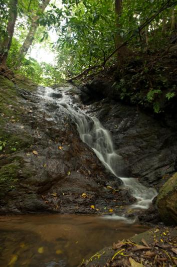 10 bed Commercial For Sale in Dominical, Puntarenas - thumb 5