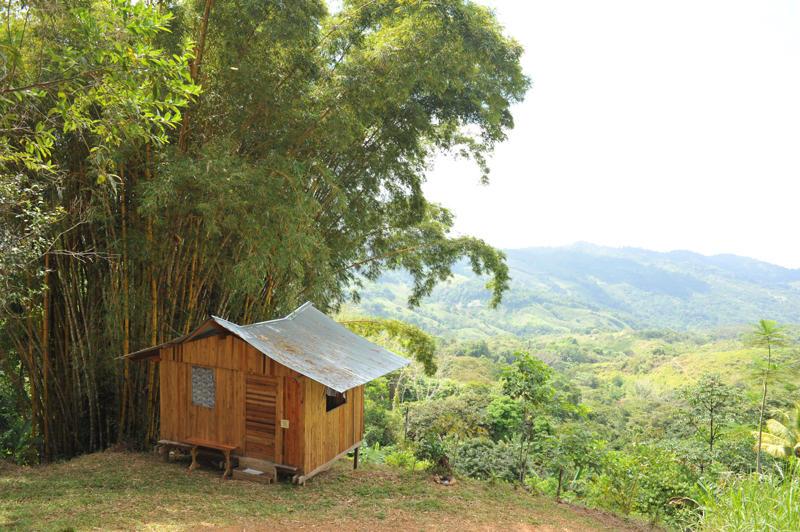 10 bed Commercial For Sale in Dominical, Puntarenas - thumb 16