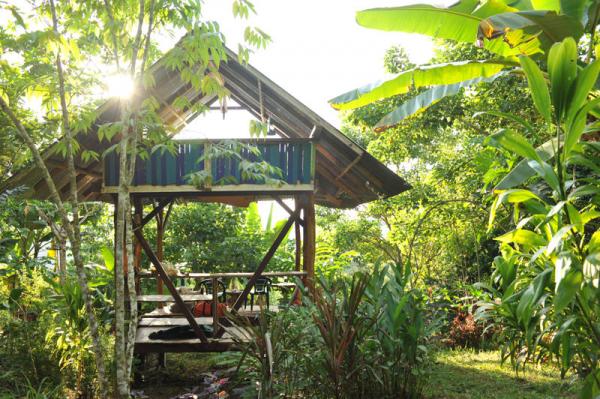10 bed Commercial For Sale in Dominical, Puntarenas - thumb 1