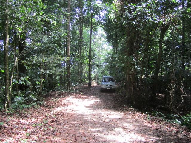 0 bed Land For Sale in Dominical, Puntarenas - thumb 2
