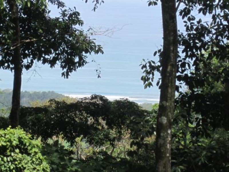 0 bed Land For Sale in Dominical, Puntarenas - 1