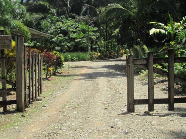 0 bed Land For Sale in Dominical, Puntarenas - thumb 3