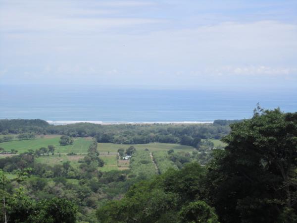 0 bed Land For Sale in Dominical, Puntarenas - thumb 4
