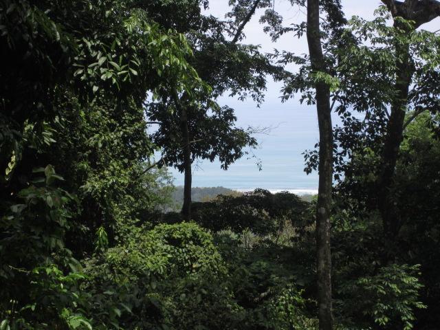 0 bed Land For Sale in Dominical, Puntarenas - thumb 5