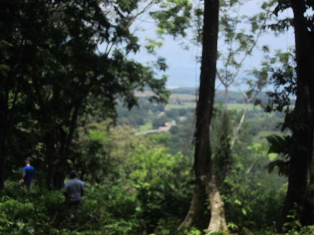 0 bed Land For Sale in Dominical, Puntarenas - thumb 6