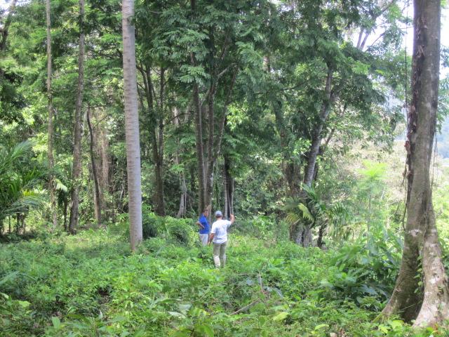 0 bed Land For Sale in Dominical, Puntarenas - thumb 8
