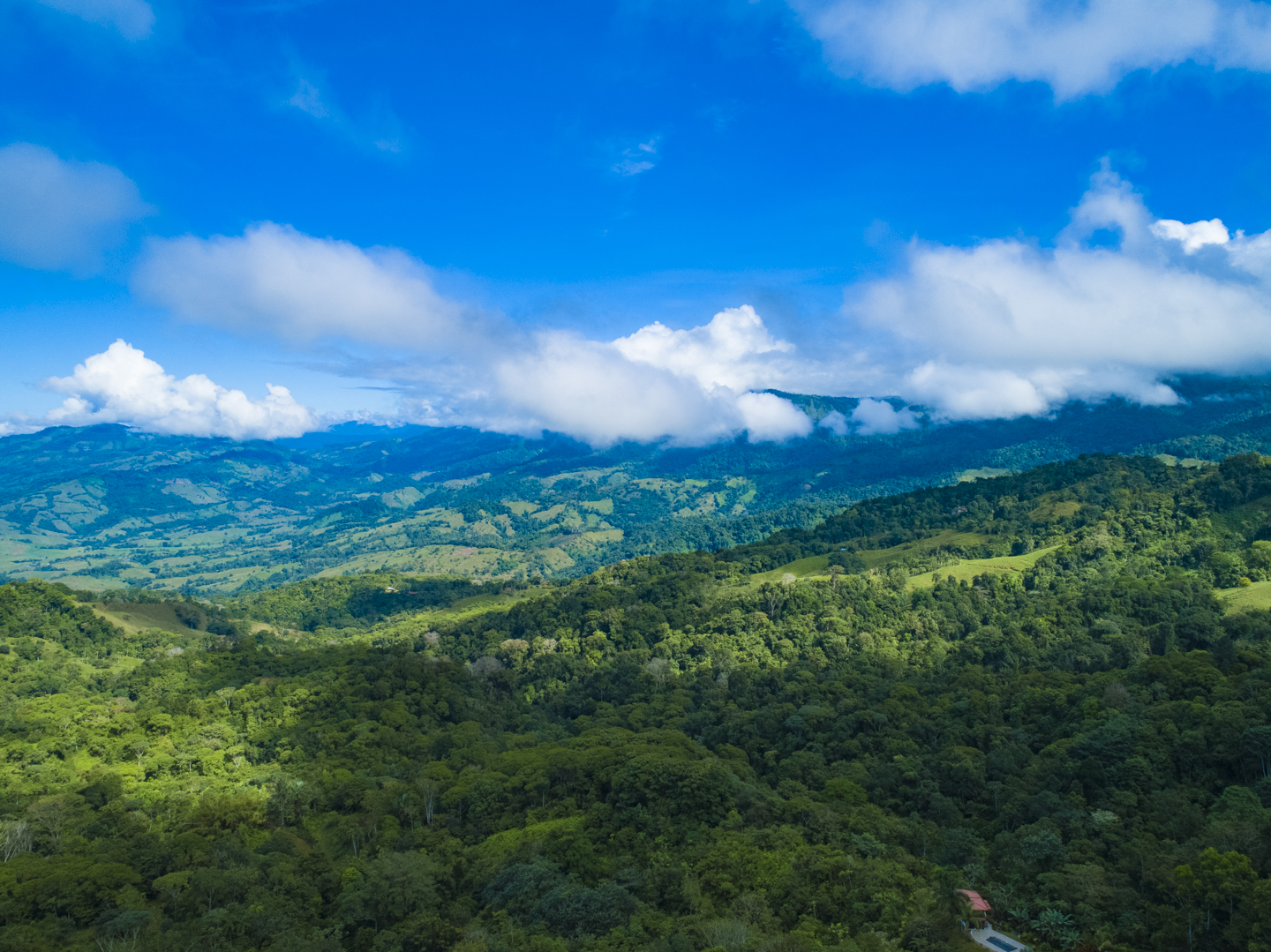 4 bed Single Family Homes For Sale in Dominical, Puntarenas - thumb 2