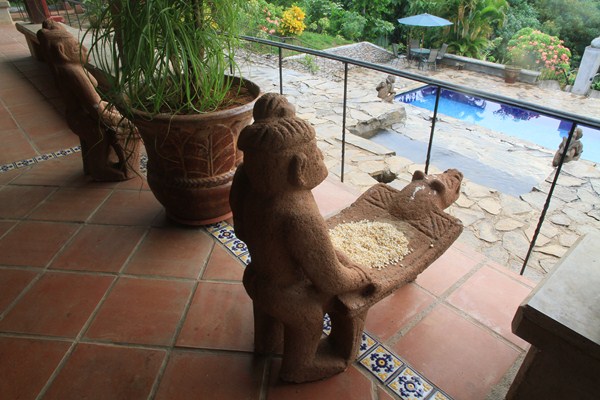 17 bed Hotel / Leisure For Sale in Orotina, Alajuela - thumb 2