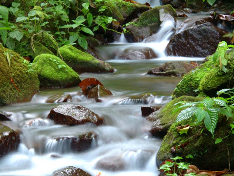 0 bed Land For Sale in Ojochal, Puntarenas - 1