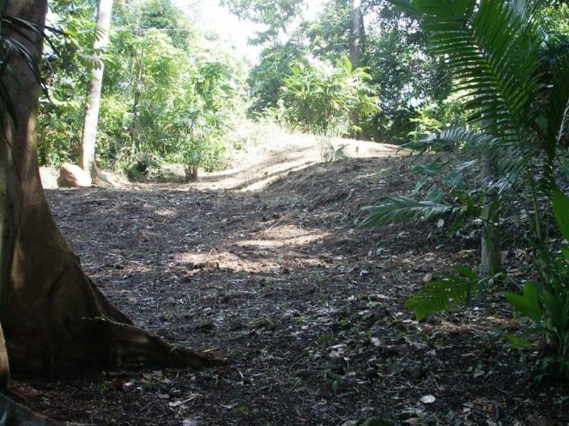 0 bed Land For Sale in Uvita, Puntarenas - 1