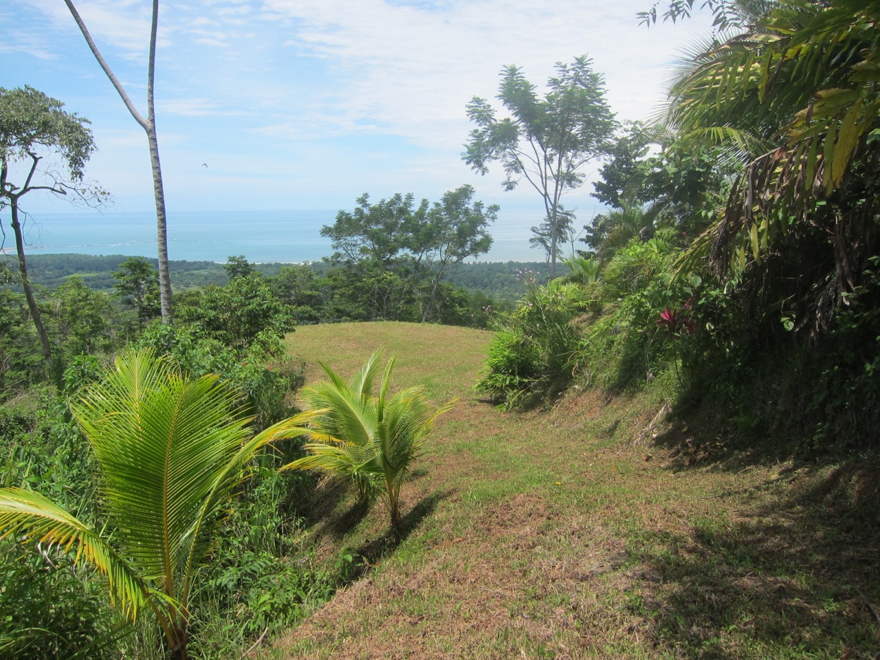 Featured property image