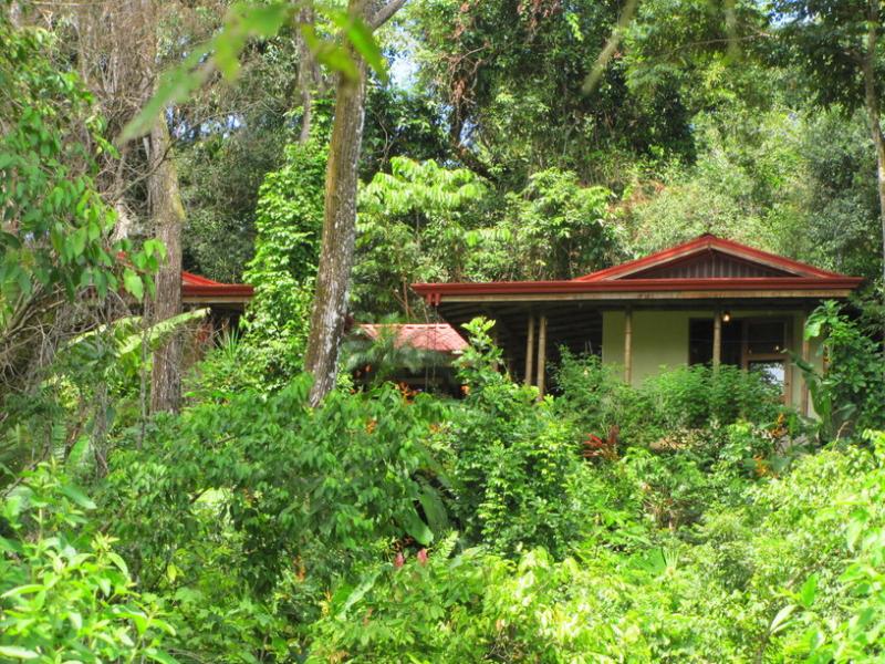 4 bed Single Family Homes For Sale in Dominical, Puntarenas - 1