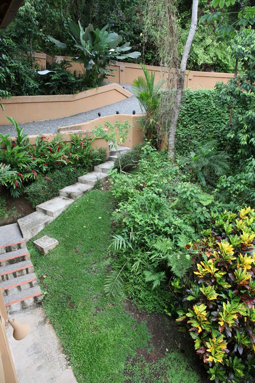 5 bed Single Family Homes For Sale in Dominical, Puntarenas - thumb 19