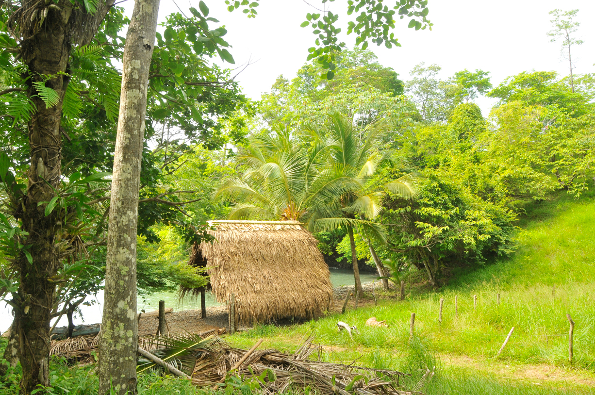 0 bed Land For Sale in Panama City, Panama - thumb 4