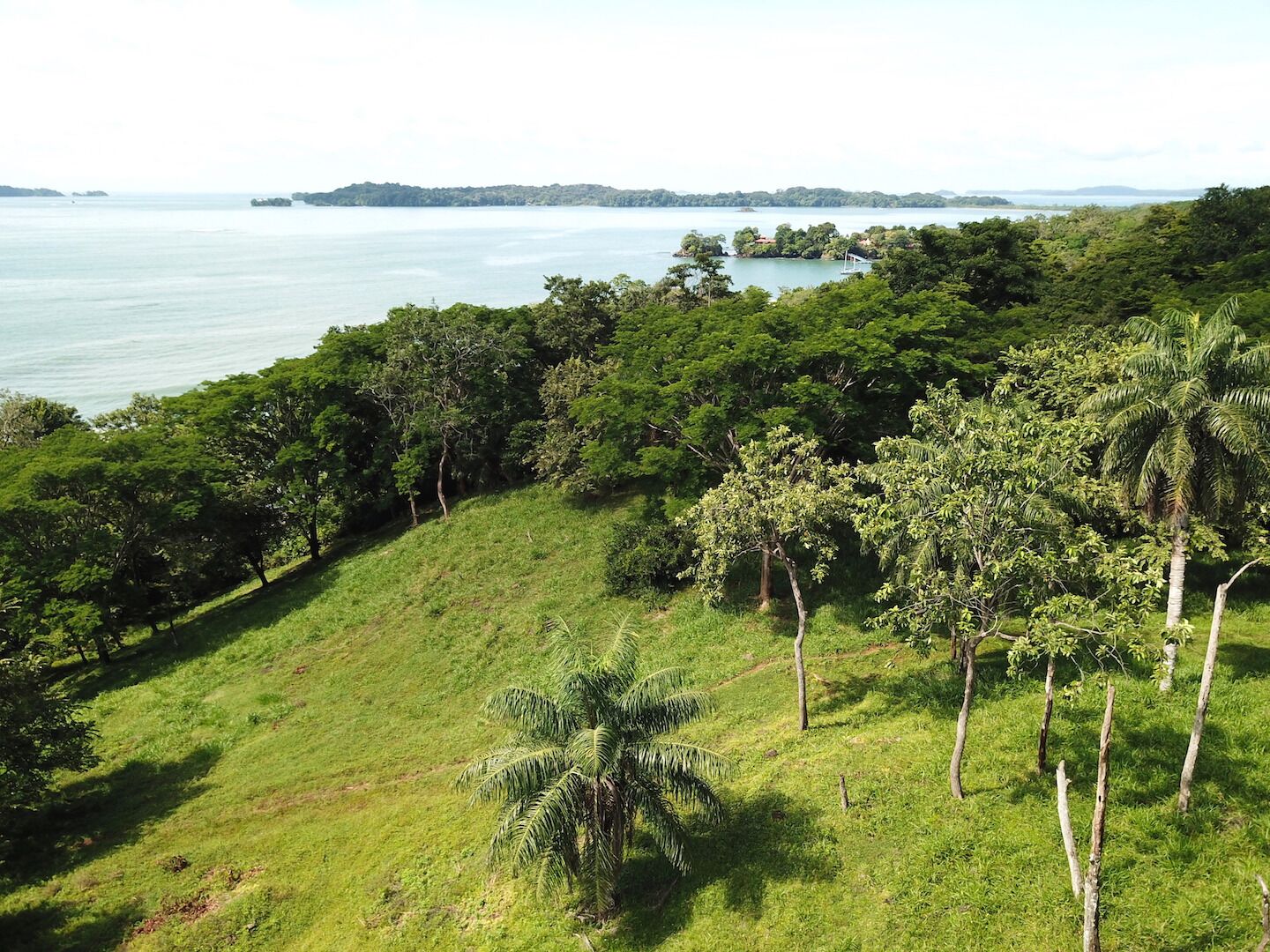 0 bed Land For Sale in Panama City, Panama - thumb 8