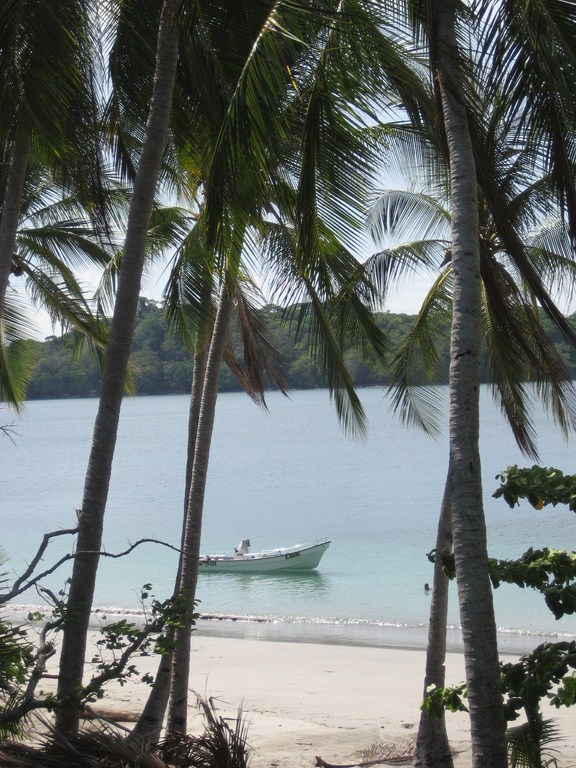 0 bed Land For Sale in Panama City, Panama - thumb 4