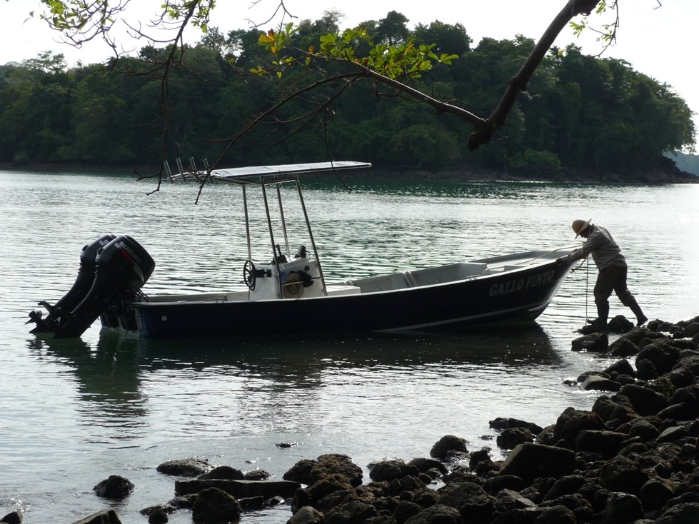 0 bed Land For Sale in Panama City, Panama - thumb 8