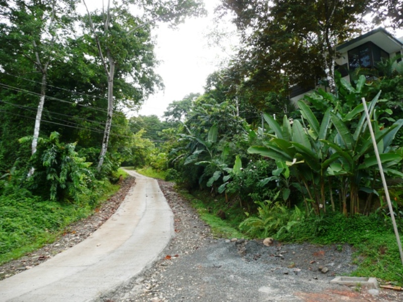 0 bed Land For Sale in Uvita, Puntarenas - thumb 9