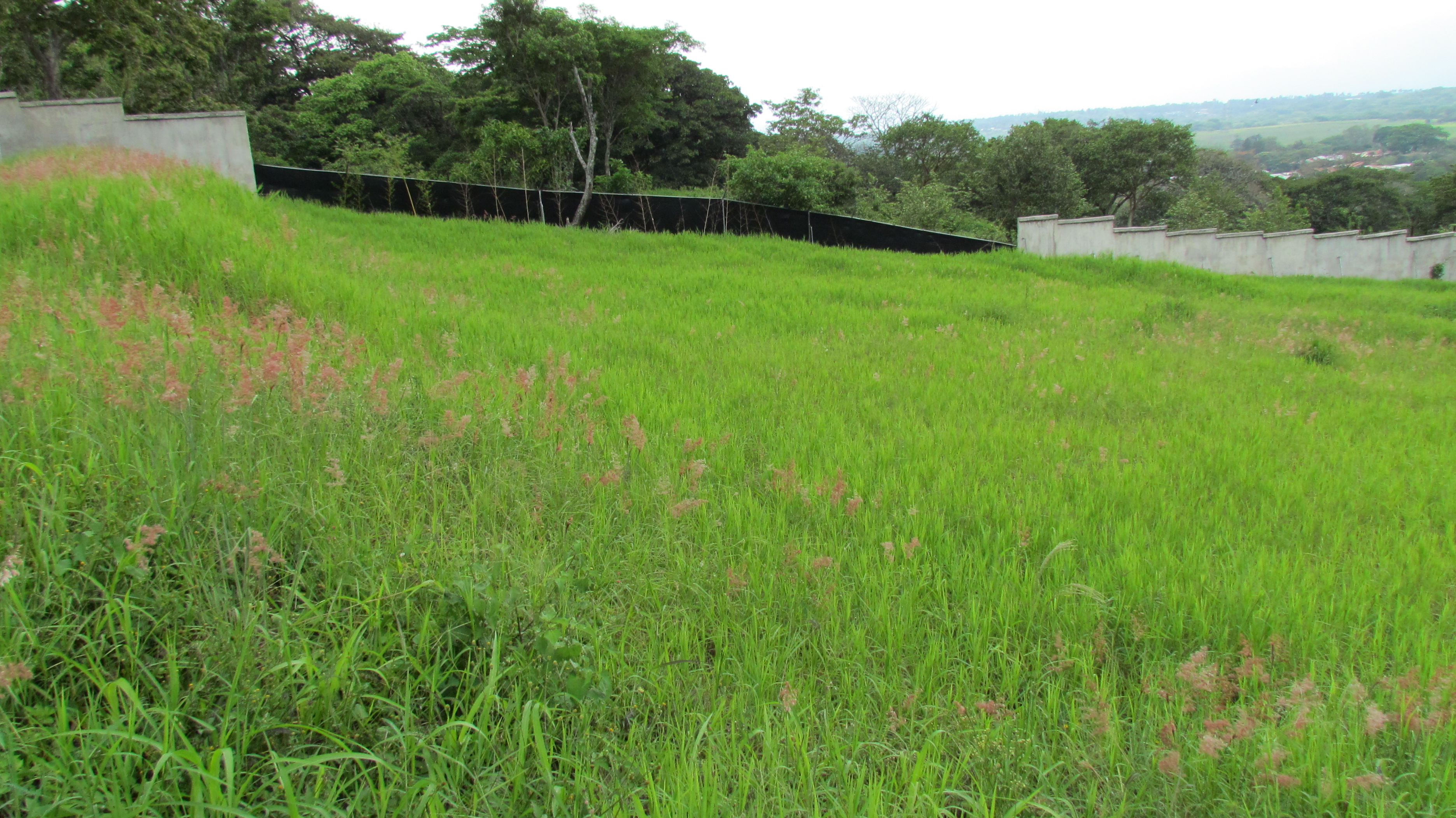 0 bed Land For Sale in Brasil De Mora, San Jose - thumb 10