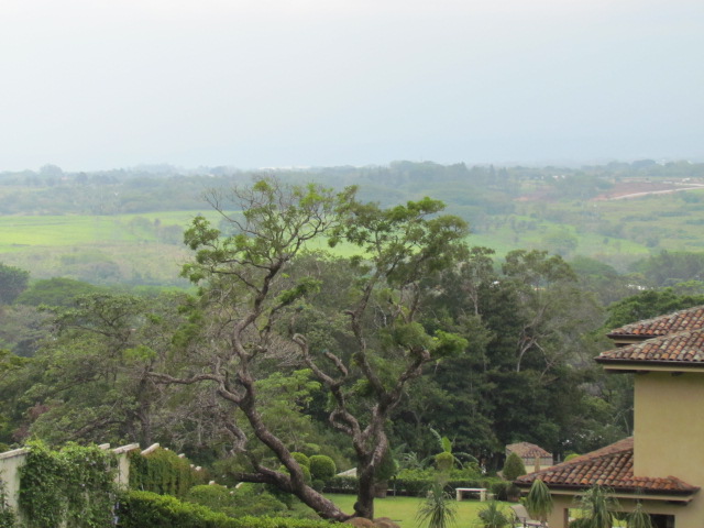 0 bed Land For Sale in Brasil De Mora, San Jose - thumb 8