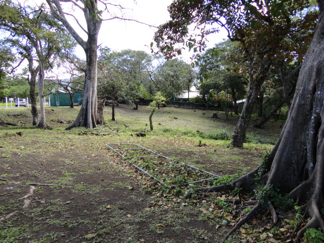 0 bed Land For Sale in Rio Oro, San Jose - thumb 1