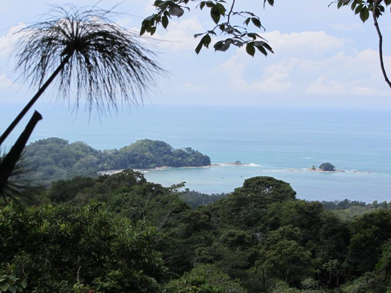 0 bed Land For Sale in Dominical, Puntarenas - 1