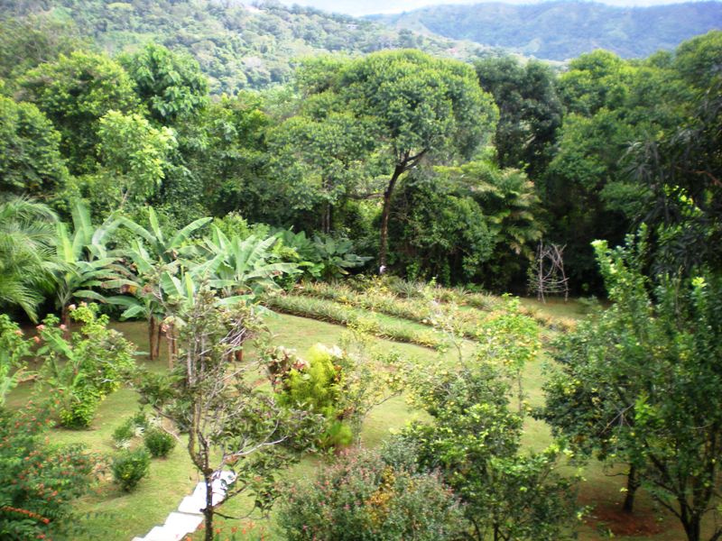 3 bed Single Family Homes For Sale in Dominical, Puntarenas - thumb 16