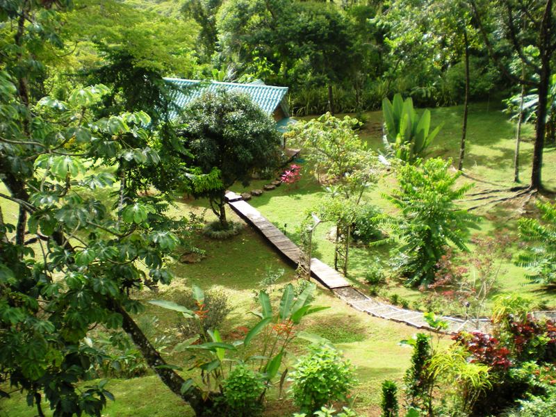 3 bed Single Family Homes For Sale in Dominical, Puntarenas - thumb 17