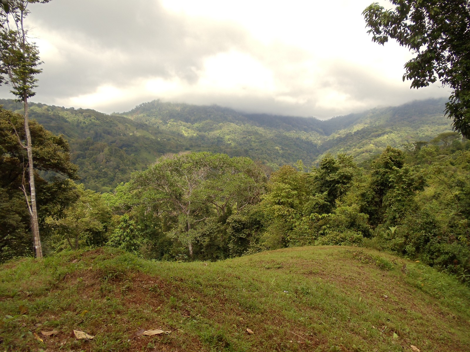 0 bed Land For Sale in Matapalo, Puntarenas - thumb 5