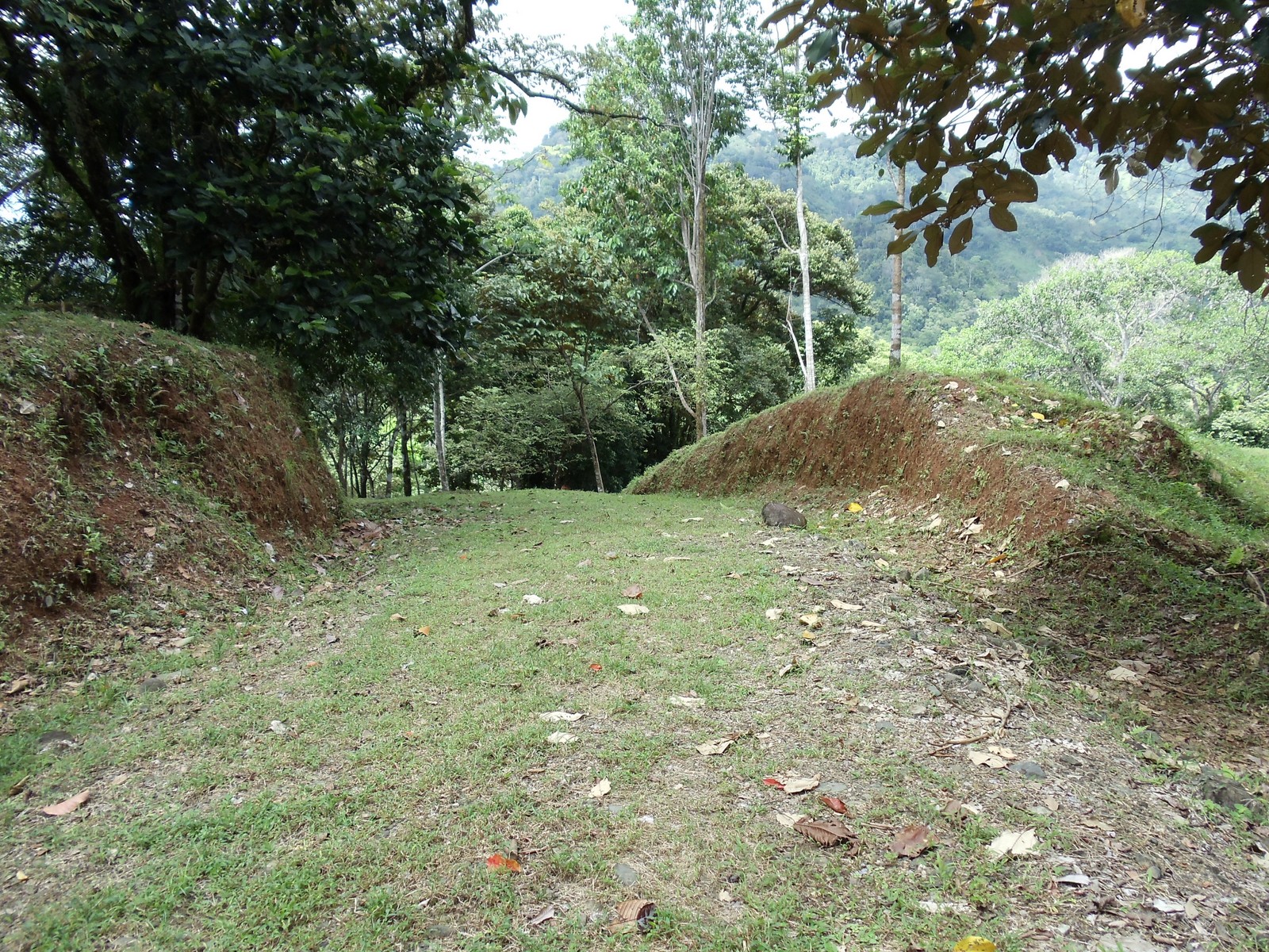 0 bed Land For Sale in Matapalo, Puntarenas - thumb 15