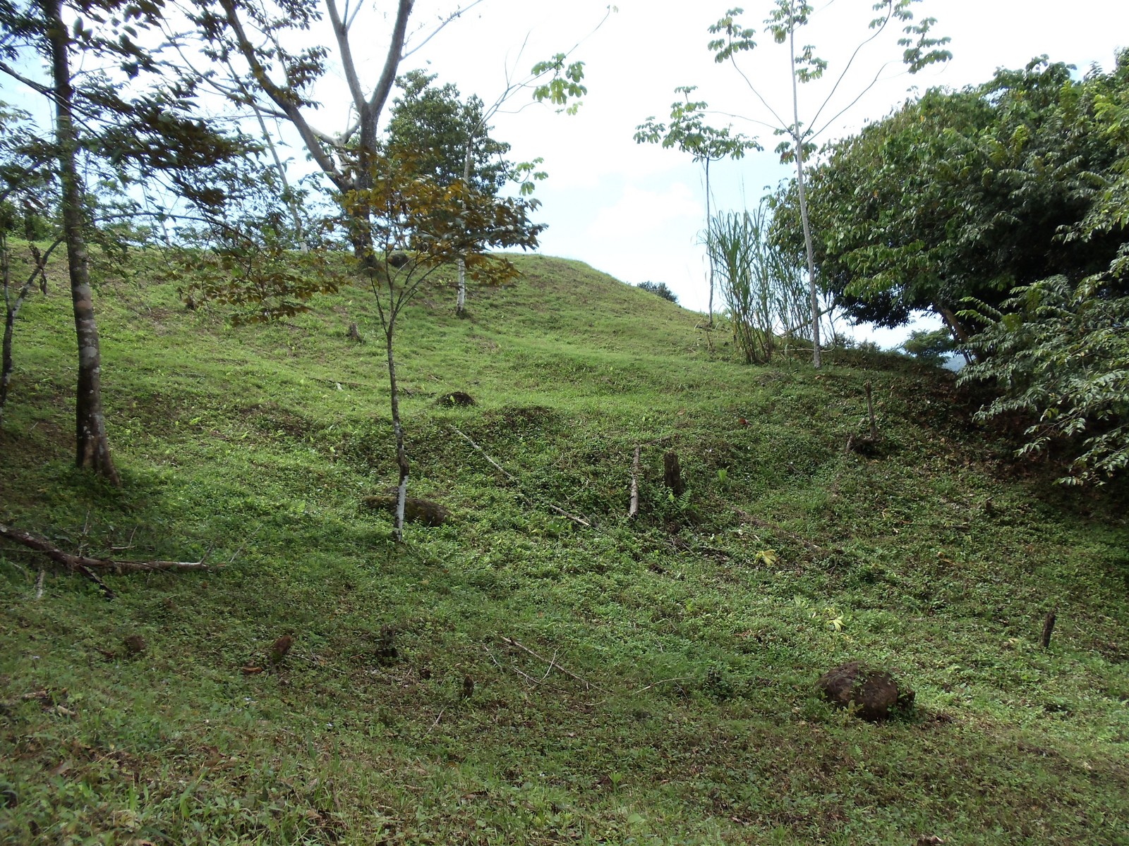 0 bed Land For Sale in Matapalo, Puntarenas - thumb 7