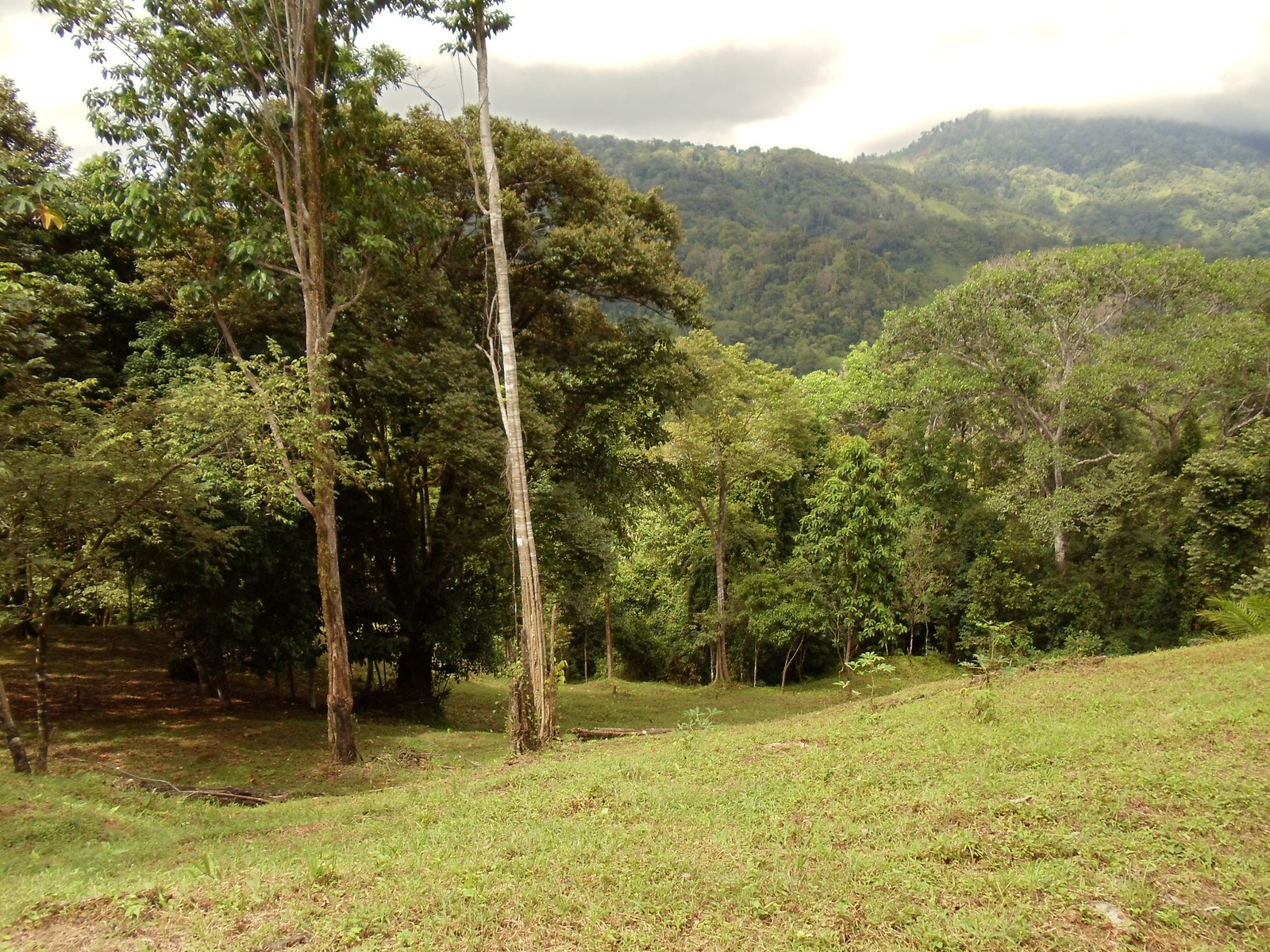 0 bed Land For Sale in Matapalo, Puntarenas - thumb 9