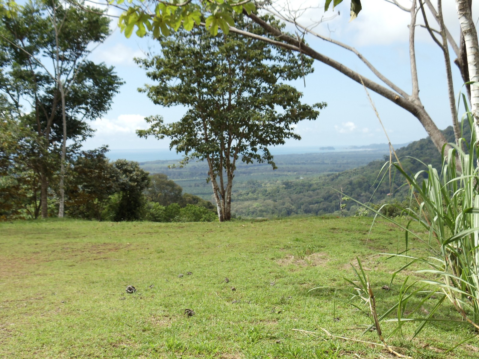 0 bed Land For Sale in Matapalo, Puntarenas - thumb 4
