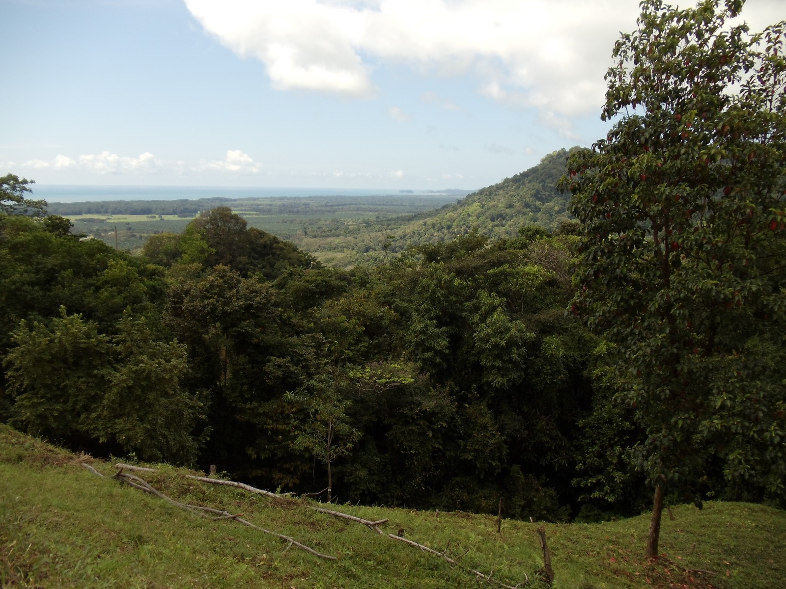 0 bed Land For Sale in Matapalo, Puntarenas - thumb 11