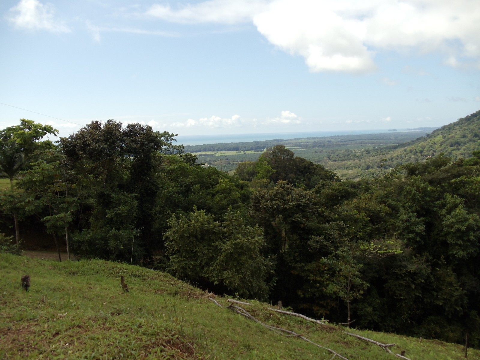 0 bed Land For Sale in Matapalo, Puntarenas - thumb 2